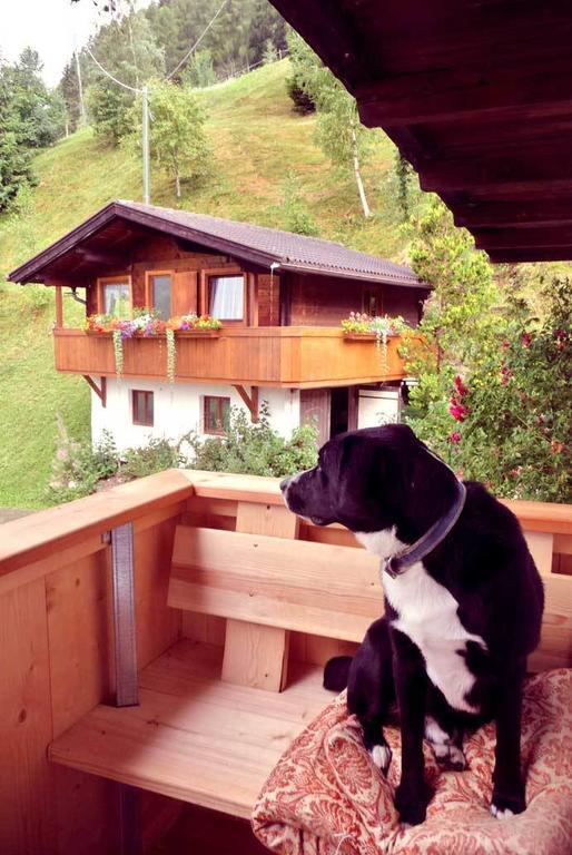 Farm stay Rastnerhof *